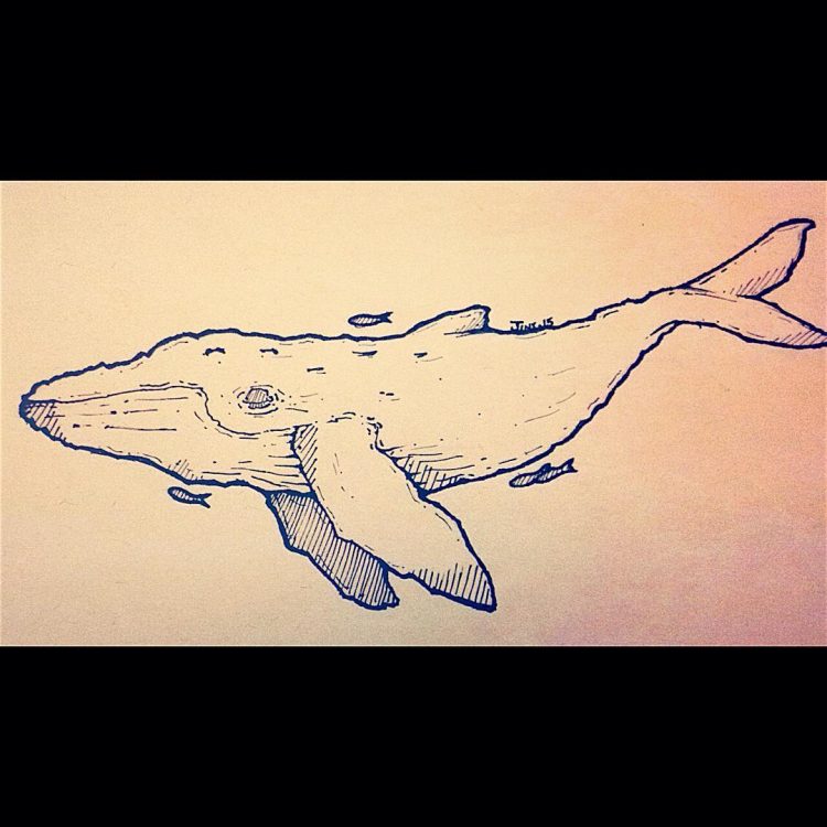 Whale in the Sky